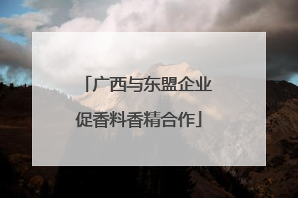 广西与东盟企业促香料香精合作