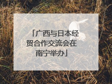 广西与日本经贸合作交流会在南宁举办