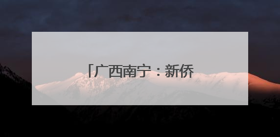 广西南宁：新侨代表共叙端午情