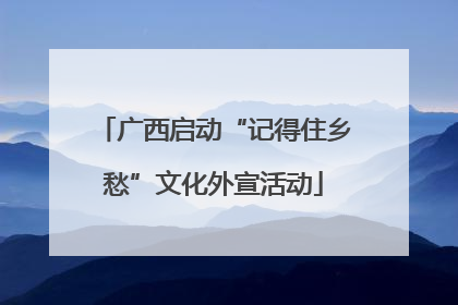 广西启动“记得住乡愁”文化外宣活动
