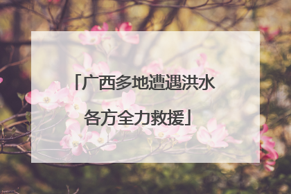 广西多地遭遇洪水 各方全力救援