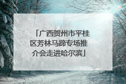 广西贺州市平桂区芳林马蹄专场推介会走进哈尔滨