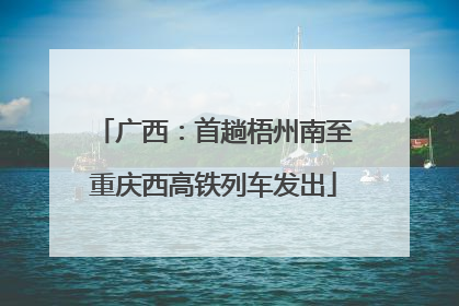 广西：首趟梧州南至重庆西高铁列车发出