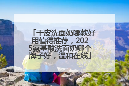 干皮洗面奶哪款好用值得推荐，2025氨基酸洗面奶哪个牌子好，温和在线