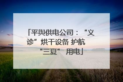 平舆供电公司：“义诊”烘干设备 护航 “三夏” 用电