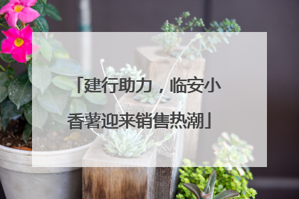 建行助力，临安小香薯迎来销售热潮