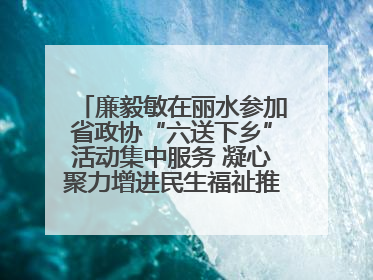 廉毅敏在丽水参加省政协“六送下乡”活动集中服务 凝心聚力增进民生福祉推进共同富裕