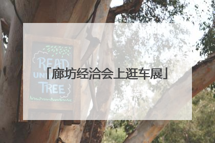 廊坊经洽会上逛车展