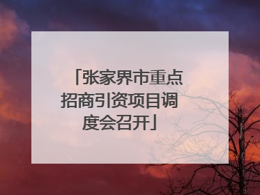 张家界市重点招商引资项目调度会召开
