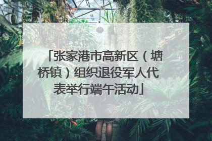 张家港市高新区（塘桥镇）组织退役军人代表举行端午活动
