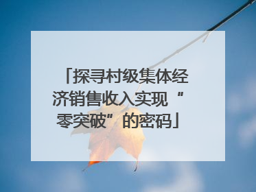 探寻村级集体经济销售收入实现“零突破”的密码