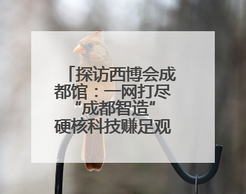 探访西博会成都馆：一网打尽“成都智造” 硬核科技赚足观众眼球