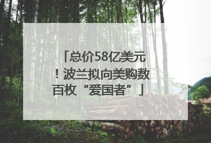 总价58亿美元！波兰拟向美购数百枚“爱国者”