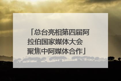 总台亮相第四届阿拉伯国家媒体大会 聚焦中阿媒体合作