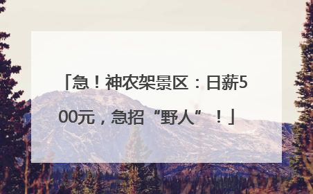 急！神农架景区：日薪500元，急招“野人”！