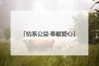 情系公益·奉献爱心
