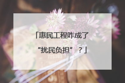 惠民工程咋成了“扰民负担”？