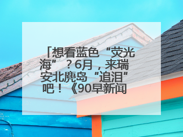 想看蓝色“荧光海”？6月，来瑞安北麂岛“追泪”吧！《90早新闻》来了