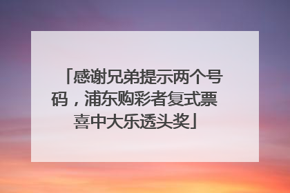 感谢兄弟提示两个号码，浦东购彩者复式票喜中大乐透头奖
