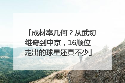 成材率几何？从武切维奇到申京，16顺位走出的球星还真不少