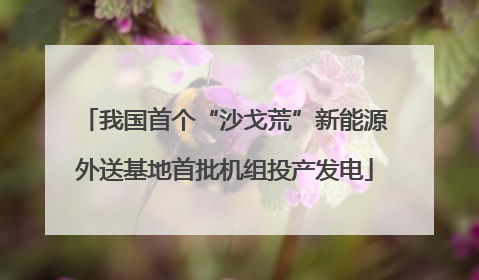 我国首个“沙戈荒”新能源外送基地首批机组投产发电
