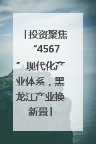 投资聚焦“4567”现代化产业体系，黑龙江产业换新景