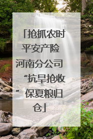 抢抓农时 平安产险河南分公司“抗旱抢收”保夏粮归仓