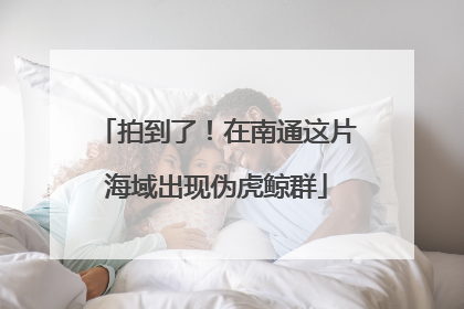 拍到了！在南通这片海域出现伪虎鲸群
