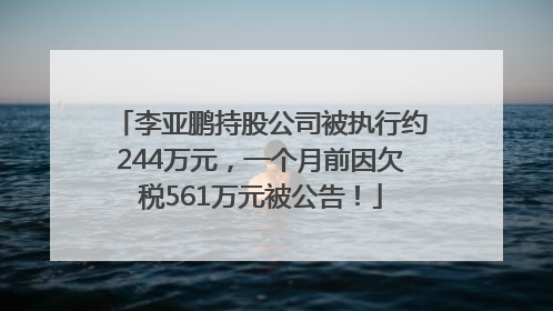 李亚鹏持股公司被执行约244万元，一个月前因欠税561万元被公告！
