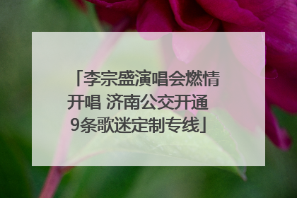 李宗盛演唱会燃情开唱 济南公交开通9条歌迷定制专线