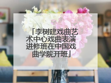 李树建戏曲艺术中心戏曲表演进修班在中国戏曲学院开班