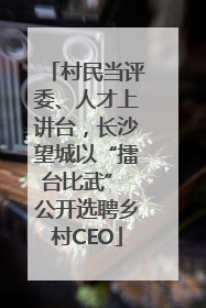 村民当评委、人才上讲台，长沙望城以“擂台比武” 公开选聘乡村CEO