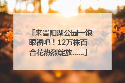 来晋阳湖公园一饱眼福吧！12万株百合花热烈绽放……