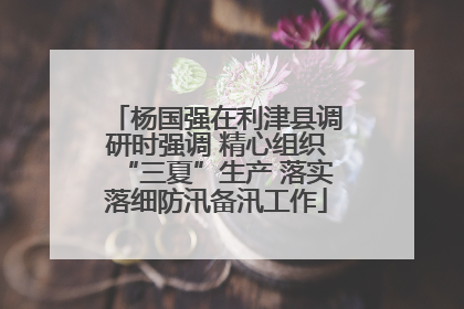 杨国强在利津县调研时强调 精心组织“三夏”生产 落实落细防汛备汛工作