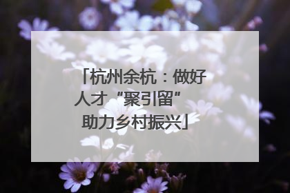 杭州余杭：做好人才“聚引留” 助力乡村振兴
