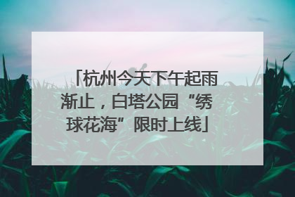 杭州今天下午起雨渐止，白塔公园“绣球花海”限时上线