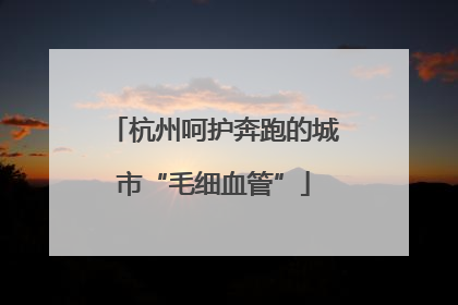 杭州呵护奔跑的城市“毛细血管”