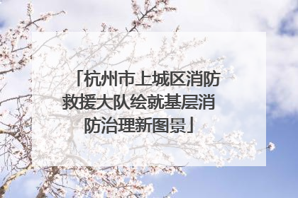 杭州市上城区消防救援大队绘就基层消防治理新图景