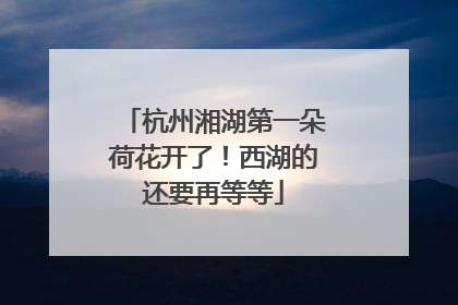 杭州湘湖第一朵荷花开了！西湖的还要再等等