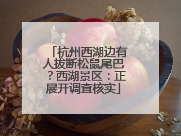 杭州西湖边有人拔断松鼠尾巴？西湖景区：正展开调查核实
