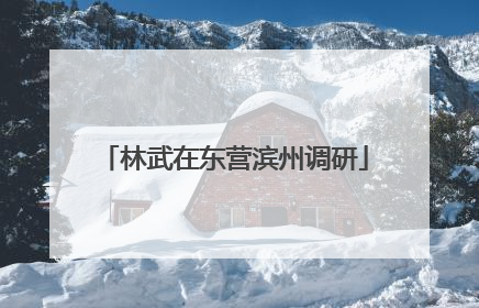 林武在东营滨州调研