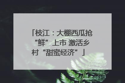 枝江：大棚西瓜抢“鲜”上市 激活乡村“甜蜜经济”