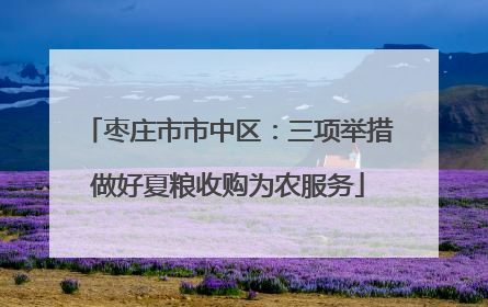 枣庄市市中区：三项举措做好夏粮收购为农服务