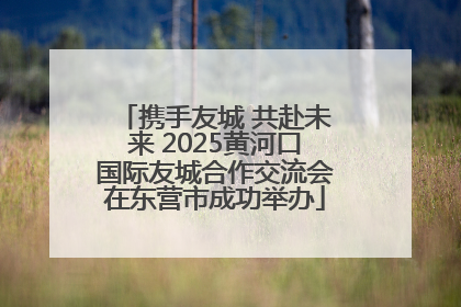 携手友城 共赴未来 2025黄河口国际友城合作交流会在东营市成功举办