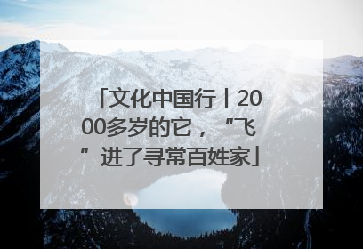 文化中国行丨2000多岁的它，“飞”进了寻常百姓家