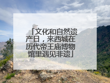 文化和自然遗产日，来西城在历代帝王庙博物馆里遇见非遗