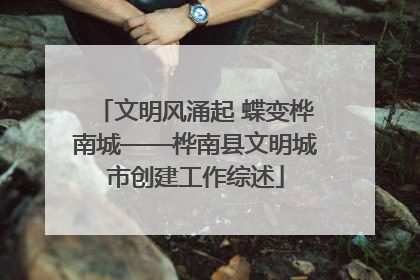 文明风涌起 蝶变桦南城——桦南县文明城市创建工作综述