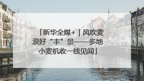 新华全媒+｜风吹麦浪好“丰”景——多地小麦机收一线见闻
