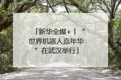 新华全媒+丨“世界机器人嘉年华”在武汉举行