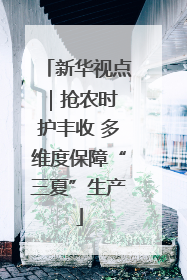 新华视点｜抢农时 护丰收 多维度保障“三夏”生产